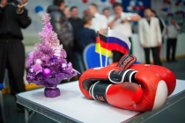 Встреча по боксу между командами городов Кострома (Россия) - Швеннинген (Германия)