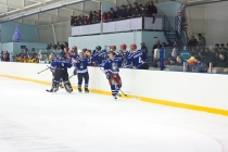 ХК «Динамо» - ХК «Искра»