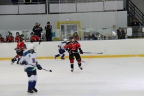 Первенство «Золотое кольцо» по хоккею с шайбой