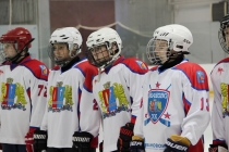 Первенство «Золотое кольцо» по хоккею с шайбой