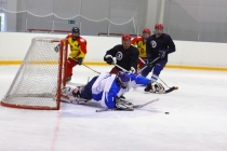 Хоккейный турнир 2012 года на Кубок СК «Ледовая арена»