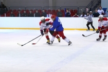 Хоккейный турнир 2012 года на Кубок СК «Ледовая арена»