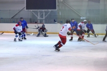 Хоккейный турнир 2012 года на Кубок СК «Ледовая арена»