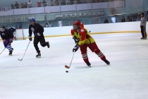 Хоккейный турнир 2012 года на Кубок СК «Ледовая арена»