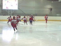 Мастер-класс с Зубрильчевым В.В.