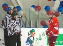 Первенство по хоккею с шайбой