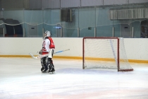 Хоккей с шайбой (тренер - Сергей Левин)