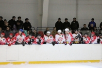 Матч между ХК «Динамо» и ХК «Искра»