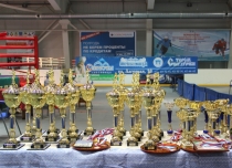 Кубок России по боксу среди женщин