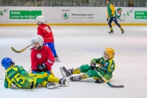 Турнир по мини-хоккею с мячом