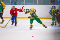 Турнир по мини-хоккею с мячом
