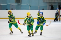 Турнир по мини-хоккею с мячом