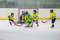 Турнир по мини-хоккею с мячом