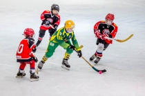 Турнир по мини-хоккею с мячом