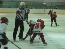 Хоккей с шайбой