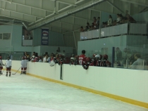 Хоккей с шайбой