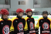 ХК «Кострома-1», тренер С.Е. Левин (2001-2002 г.р.)