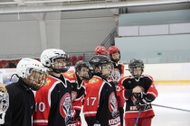 ХК «Кострома» (тр. А.В. Коленкин)