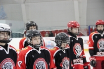 ХК «Кострома» (тр. А.В. Коленкин)