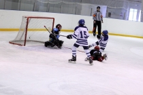 Турнир «Золотая шайба» - март 2012 г.