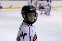 Турнир «Золотая шайба» - март 2012 г.