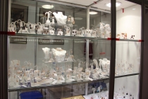 «Золотое кольцо России-2015»