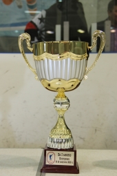 «KOSTROMA CUP-2015»