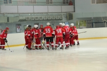 «KOSTROMA CUP-2017»