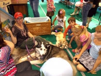 Ювелирный фестиваль