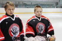 ХК «Кострома» (тр. А.В. Коленкин)