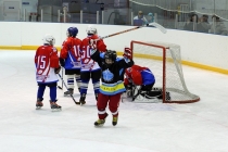 Турнир «Золотая шайба» - март 2012 г.