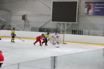 «KOSTROMA CUP-2017»